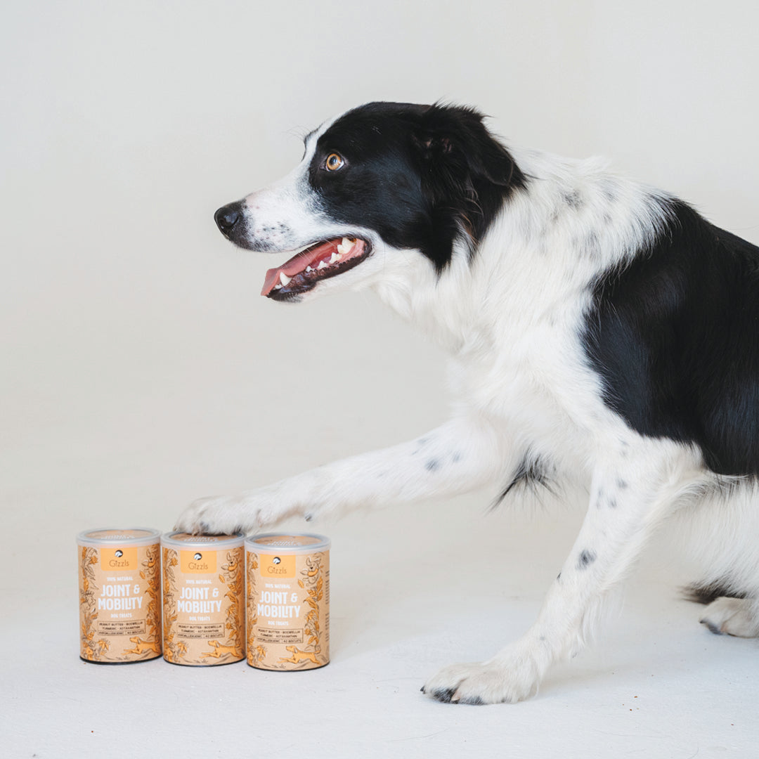 Gizzls Joint & Mobility Dog Treats