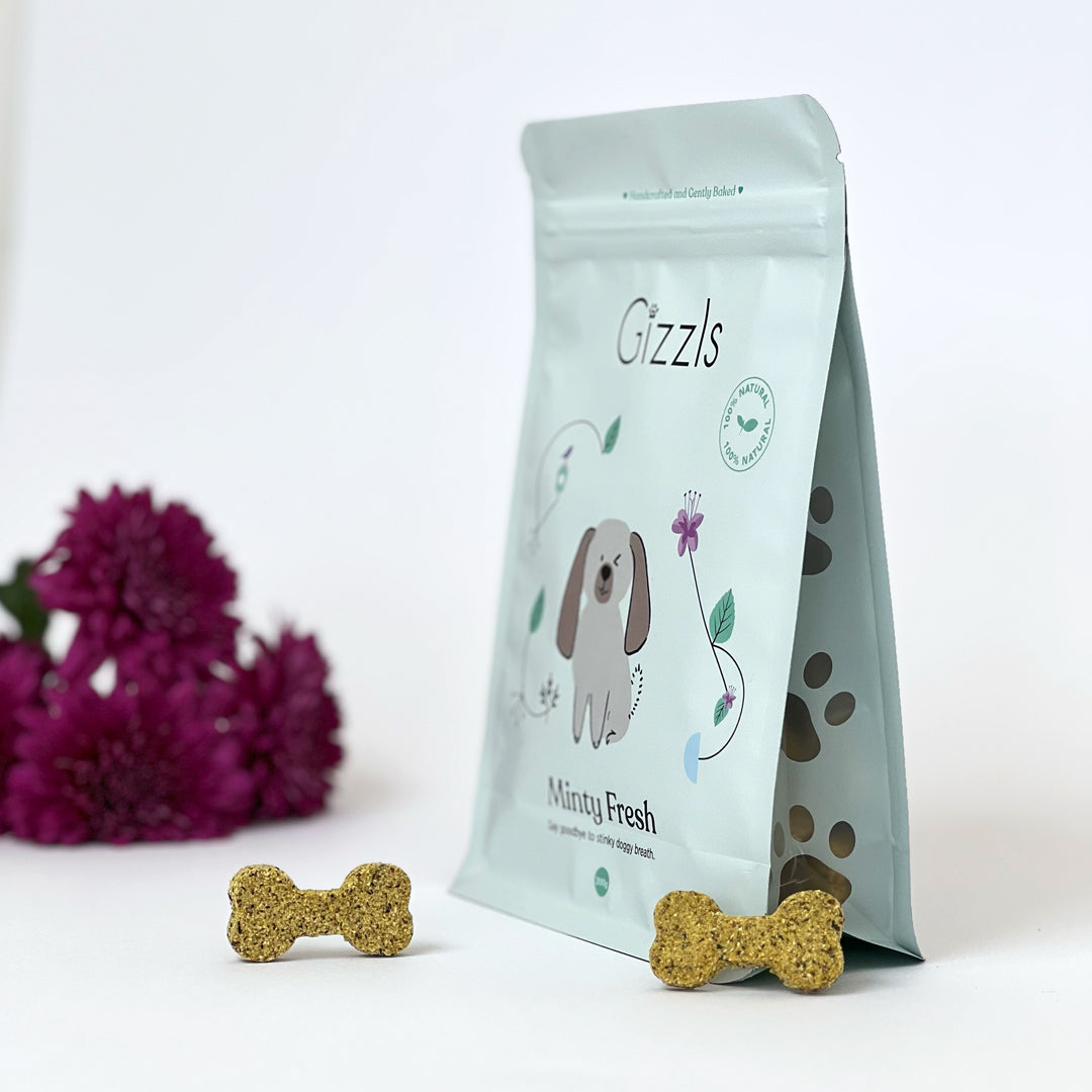 Gizzls Minty Fresh Big Dog Treats 200g