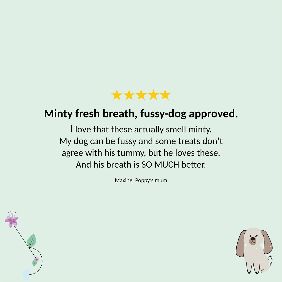 Gizzls Minty Fresh Big Dog Treats 200g