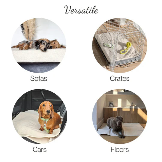 Pup & Kit - PetProtector® Waterproof Pet Blanket - Grey