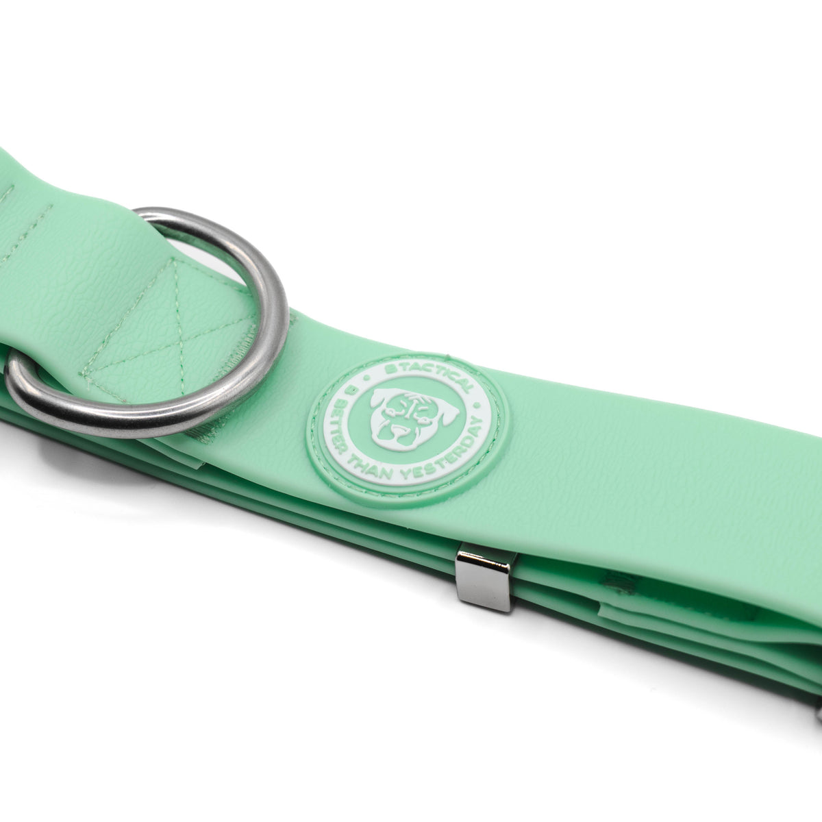 BTactical 4cm PVC Dog Collar - Pastel Green