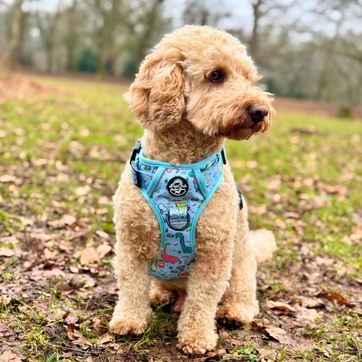 PupClub Couture Rugged Rover Harness - Jurassic Party