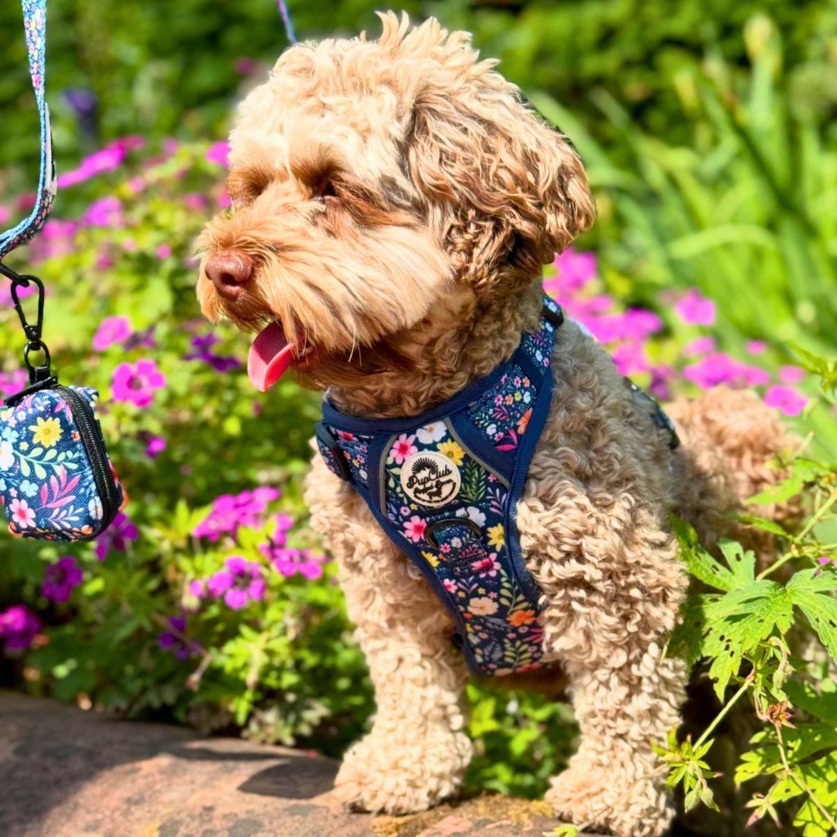 PupClub Couture Rugged Rover Harness - Summer Meadow