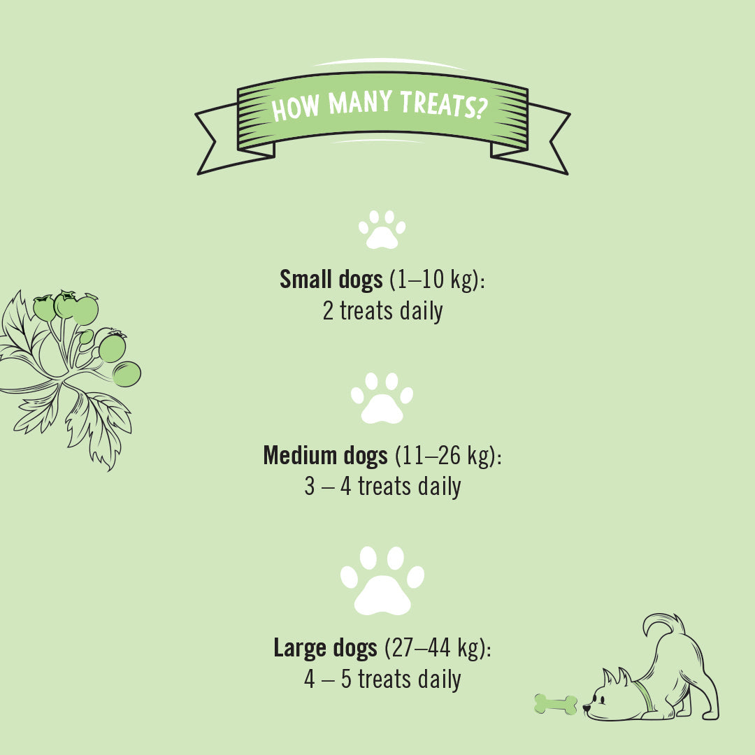 Gizzls Senior Dog Treats