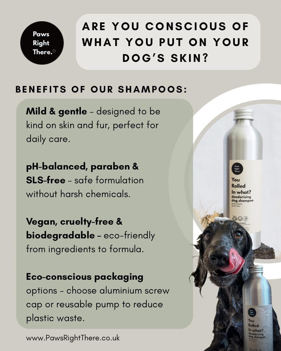 Paws Right There Itchy Dog Shampoo with Oatmeal & Aloe Vera 250ml