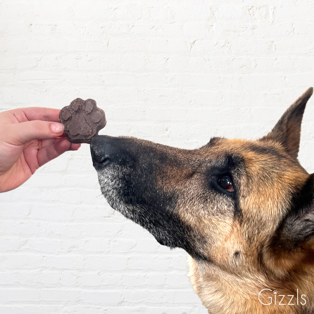 Gizzls Zoomie Bites Ostrich Liver & Blueberry Soft Dog Treats (Pack of 2)