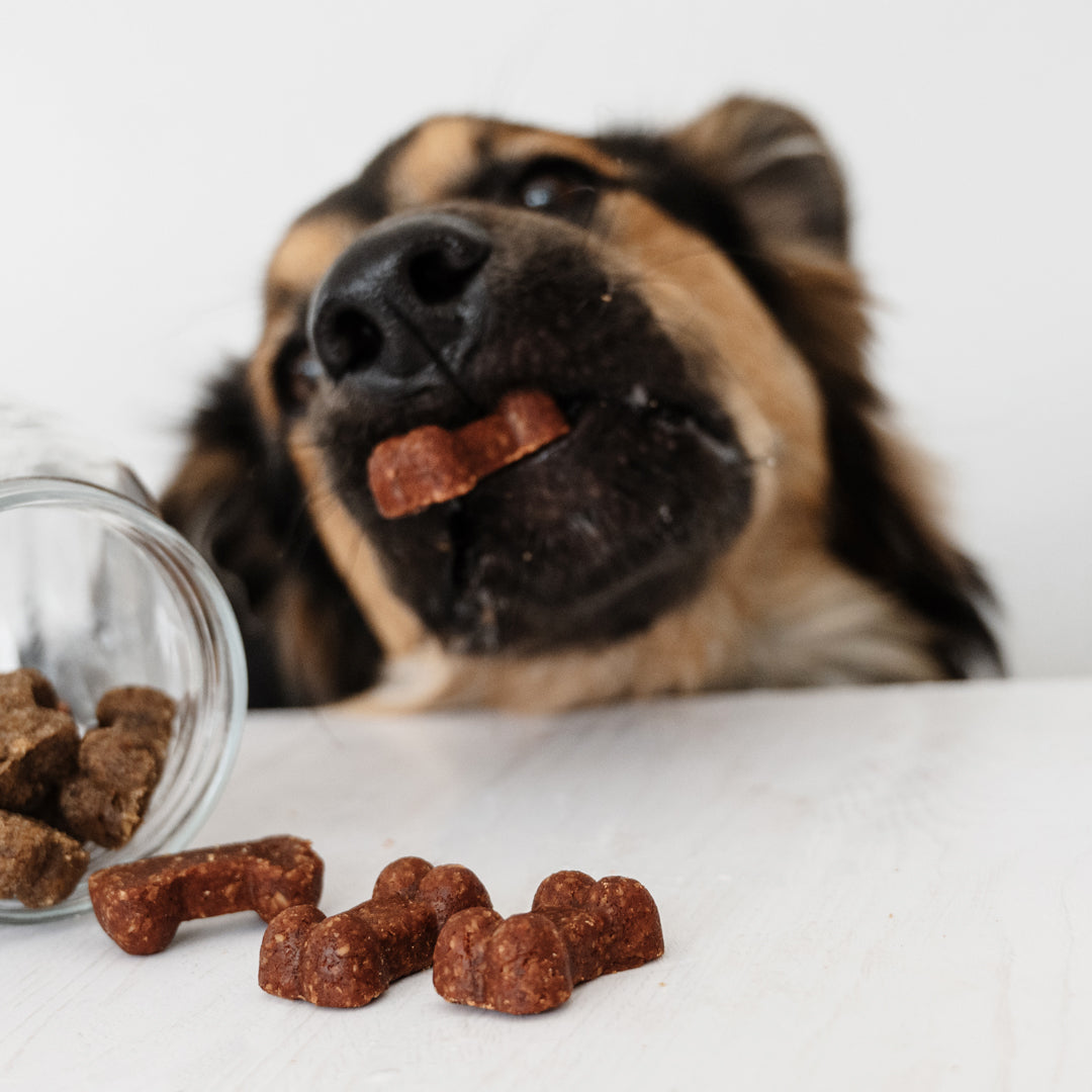 Gizzls Soft Bites Dog Treat Bundle 2 x 300g