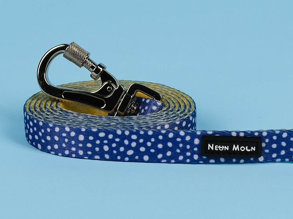 SnazzyTails The Minnie Dog Lead Blue & Yellow Polka Dot