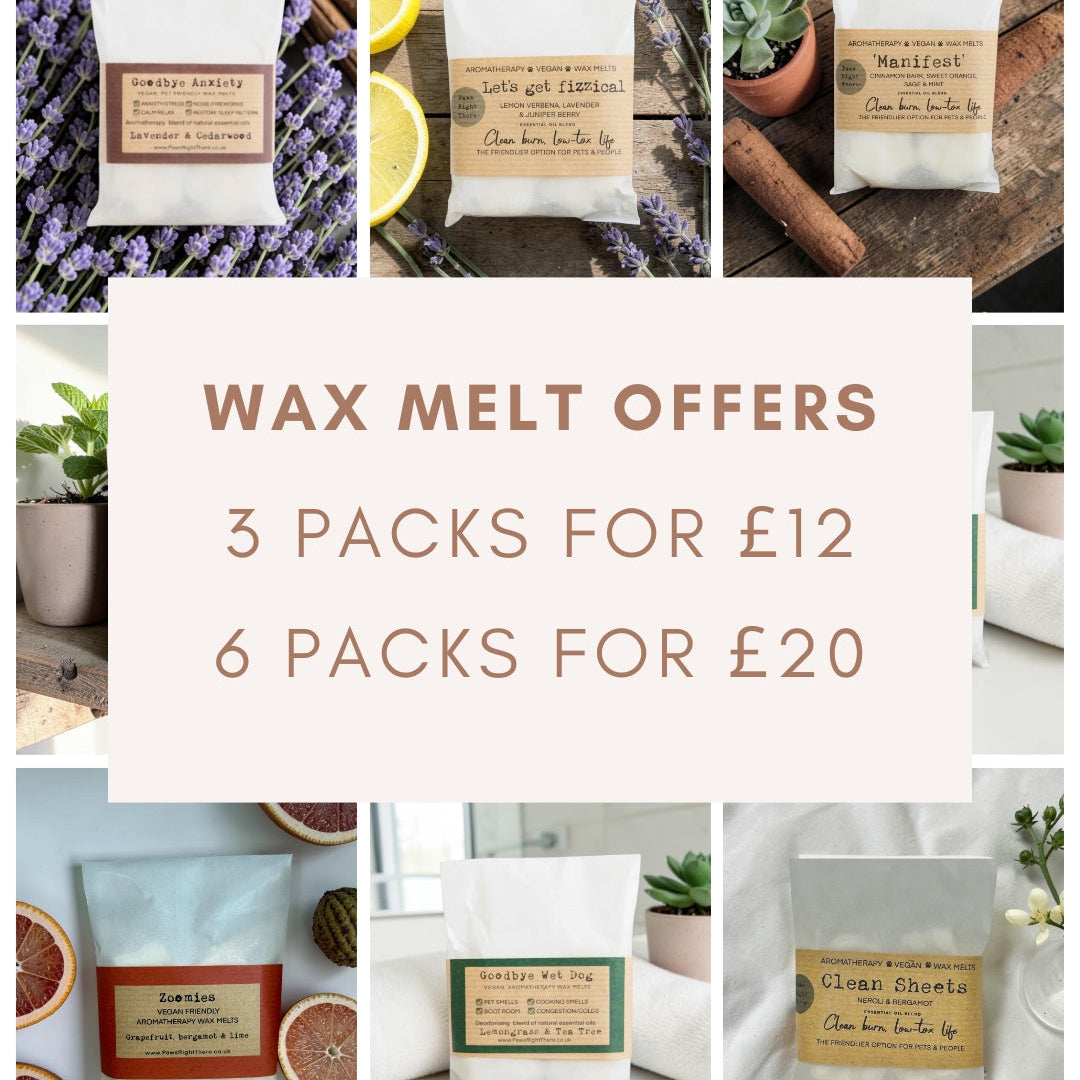 Paws Right There Manifest Aromatherapy Wax Melts – Pack of 4