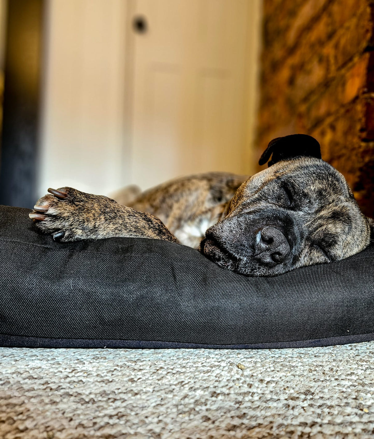 Black Fabric Dog Bed Barking Beds