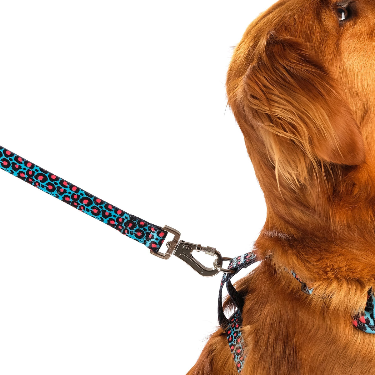 SnazzyTails Willow Dog Lead - Leopard Print