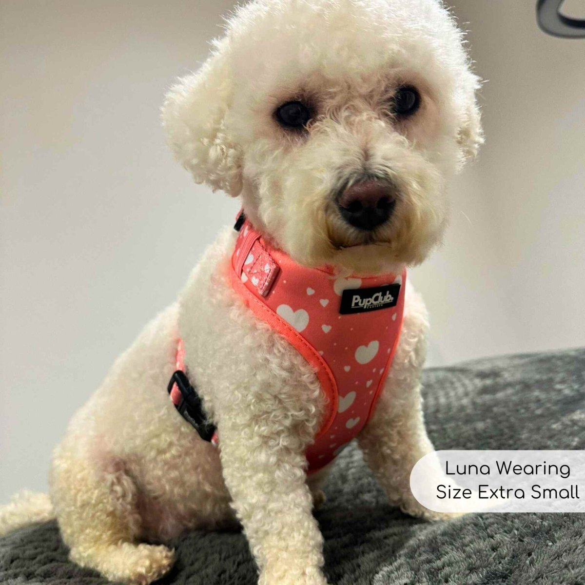 PupClub Couture Adjustable Harness - Peachy Hearts