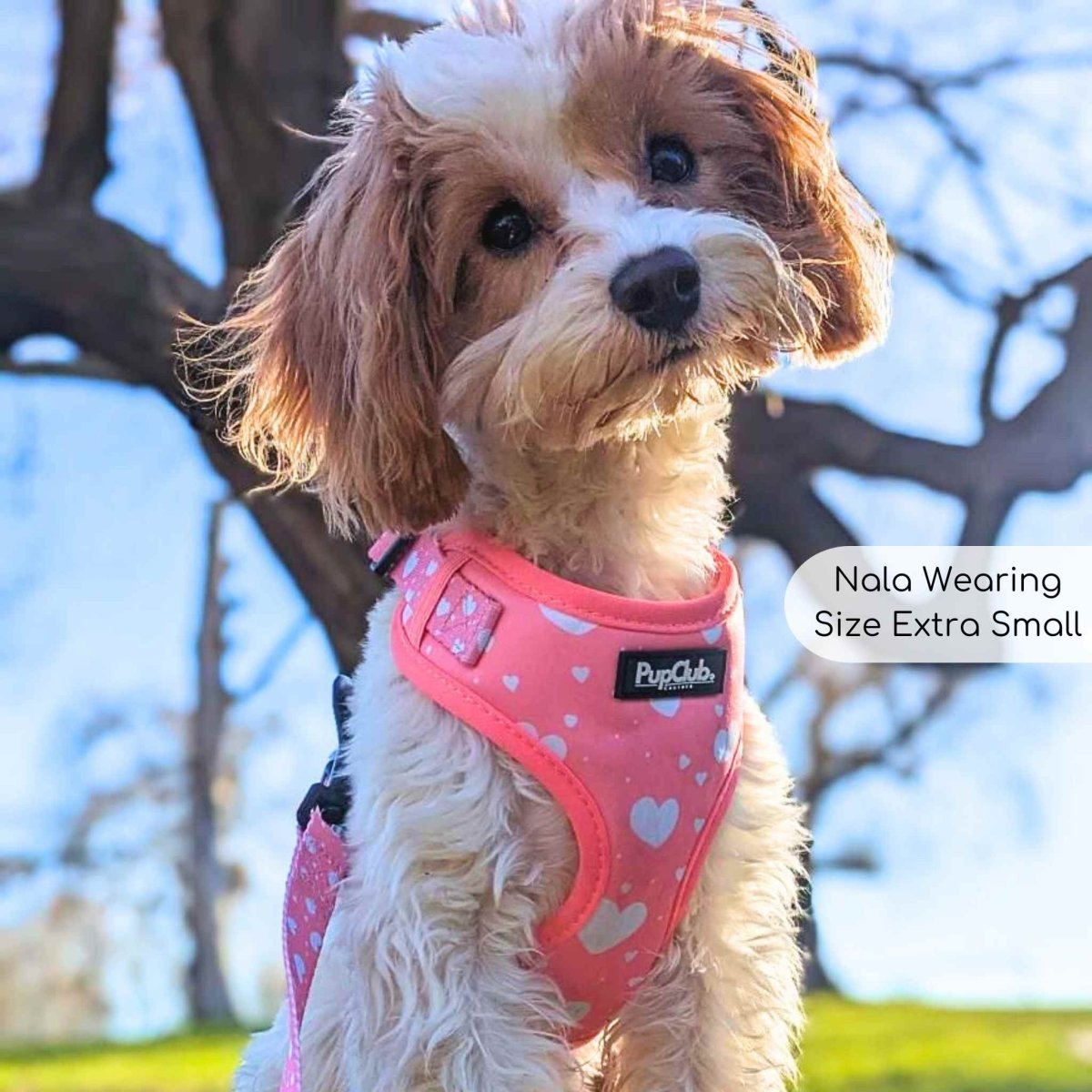 PupClub Couture Adjustable Harness - Peachy Hearts