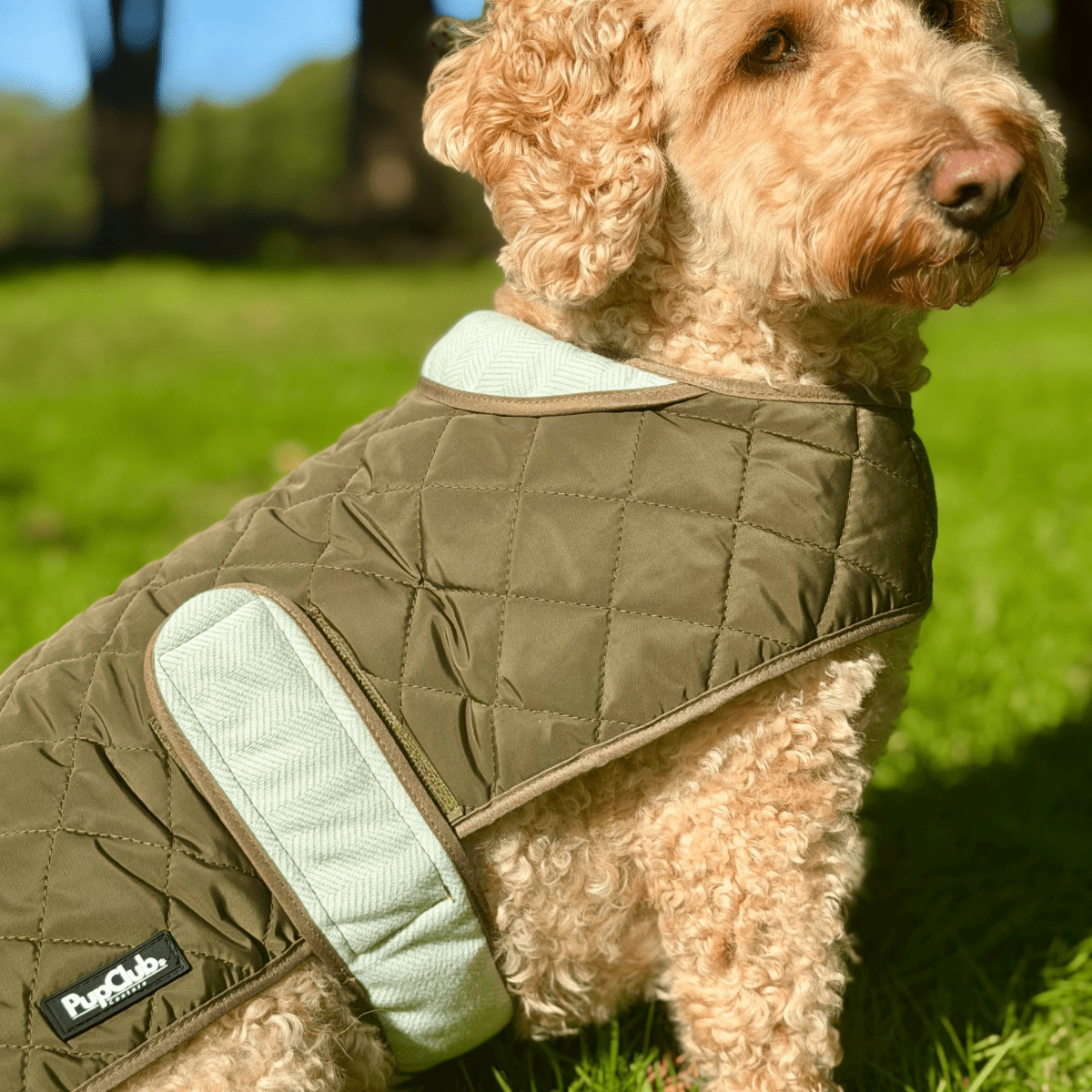 PupClub Couture Quilted Dog Coat - Khaki Tweed