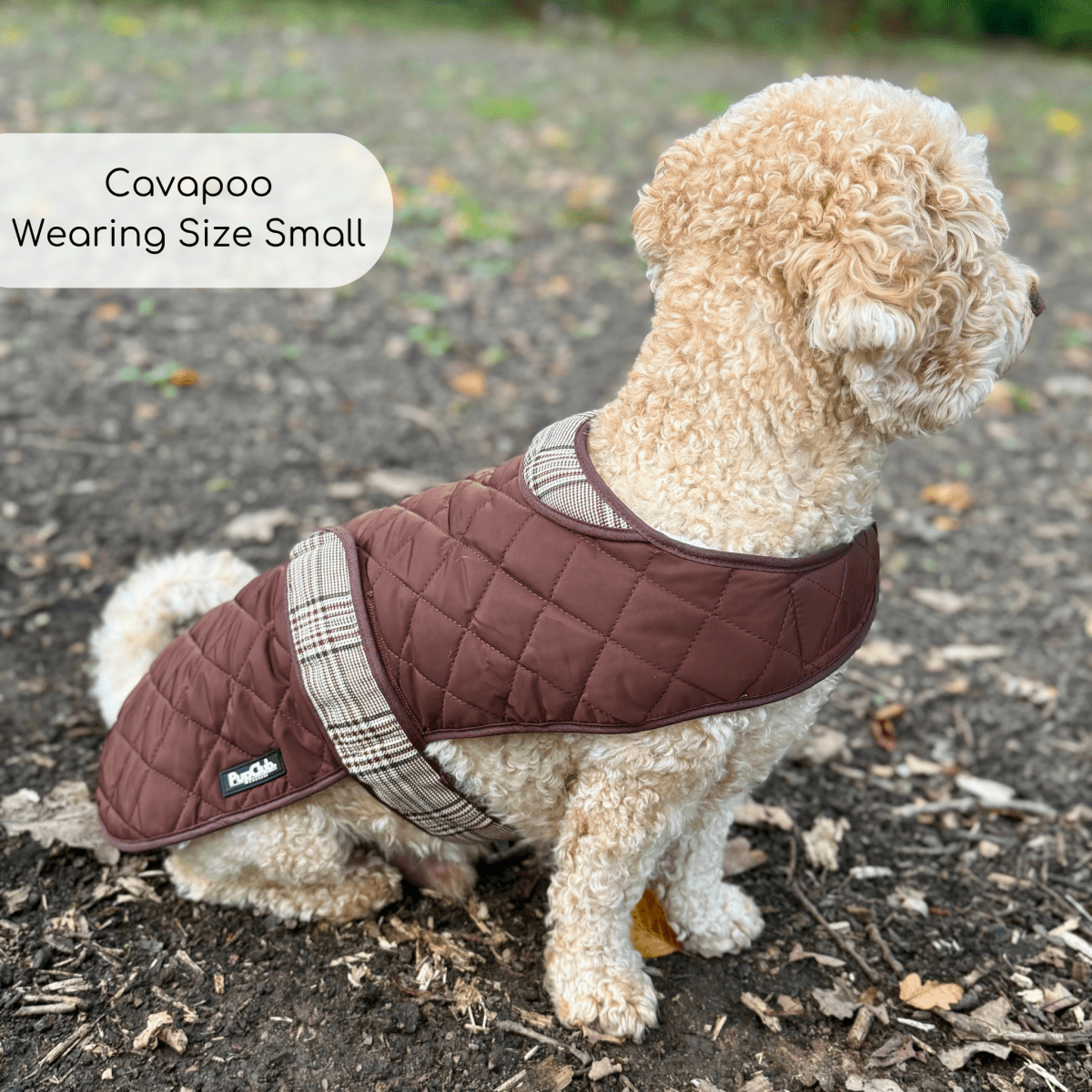 PupClub Couture Quilted Dog Coat - Foxbury Plaid
