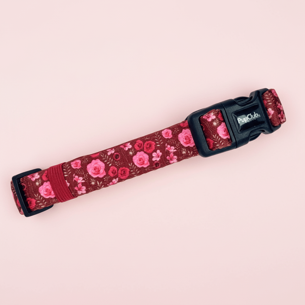 PupClub Couture Dog Collar - Burgundy Bloom