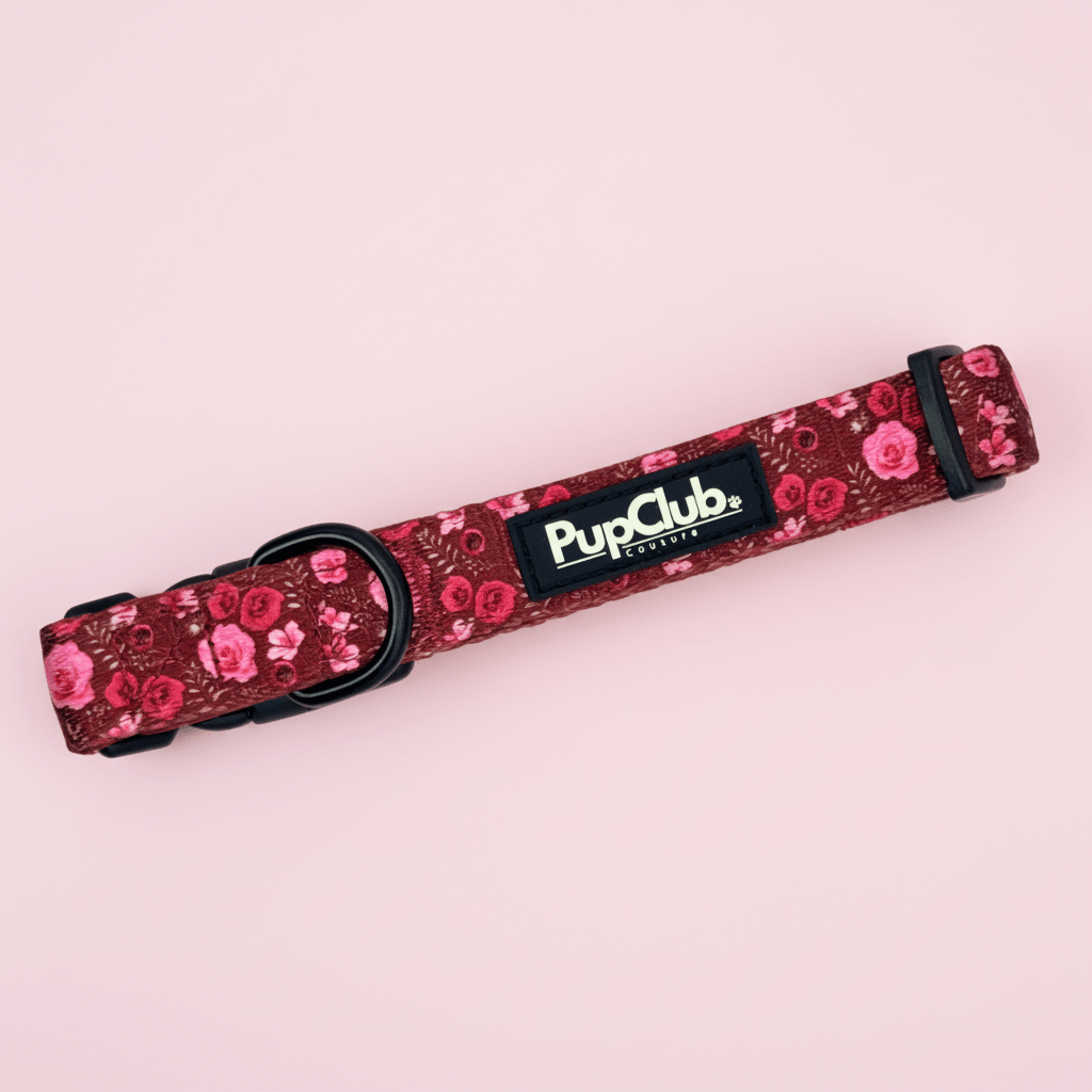 PupClub Couture Dog Collar - Burgundy Bloom