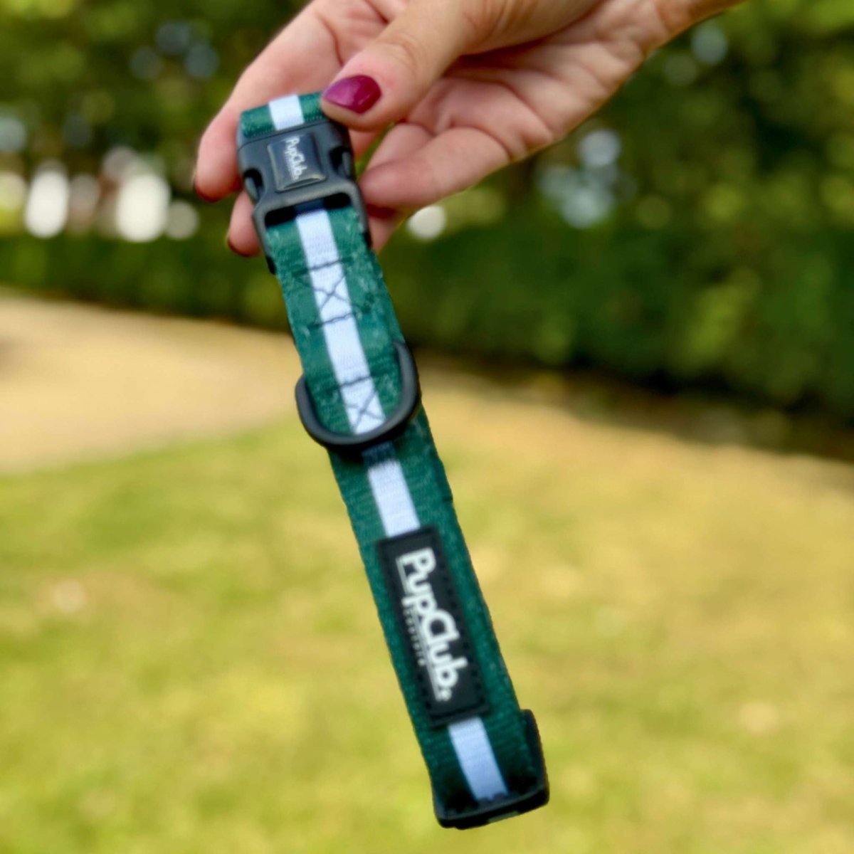 PupClub Couture Dog Collar - Forest Green