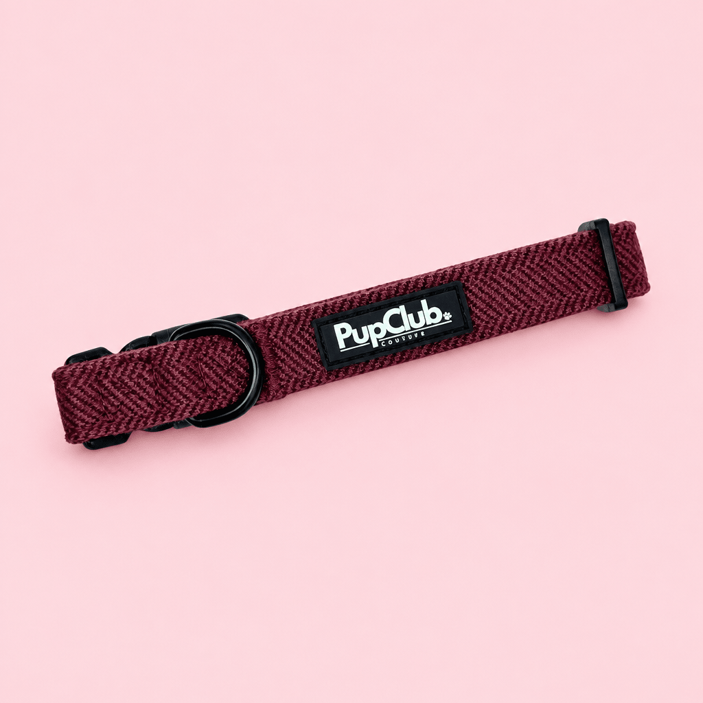 Collar - Berry Tweed