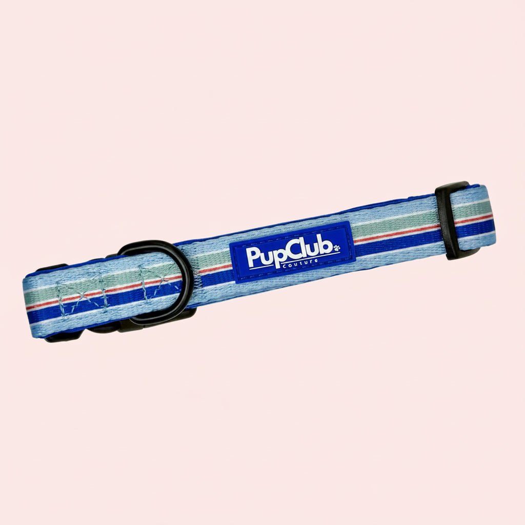 PupClub Couture Dog Collar - Sea Breeze Stripes