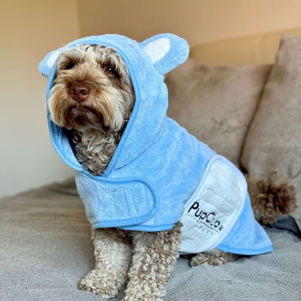 PupClub Couture Drying Robe - Blue
