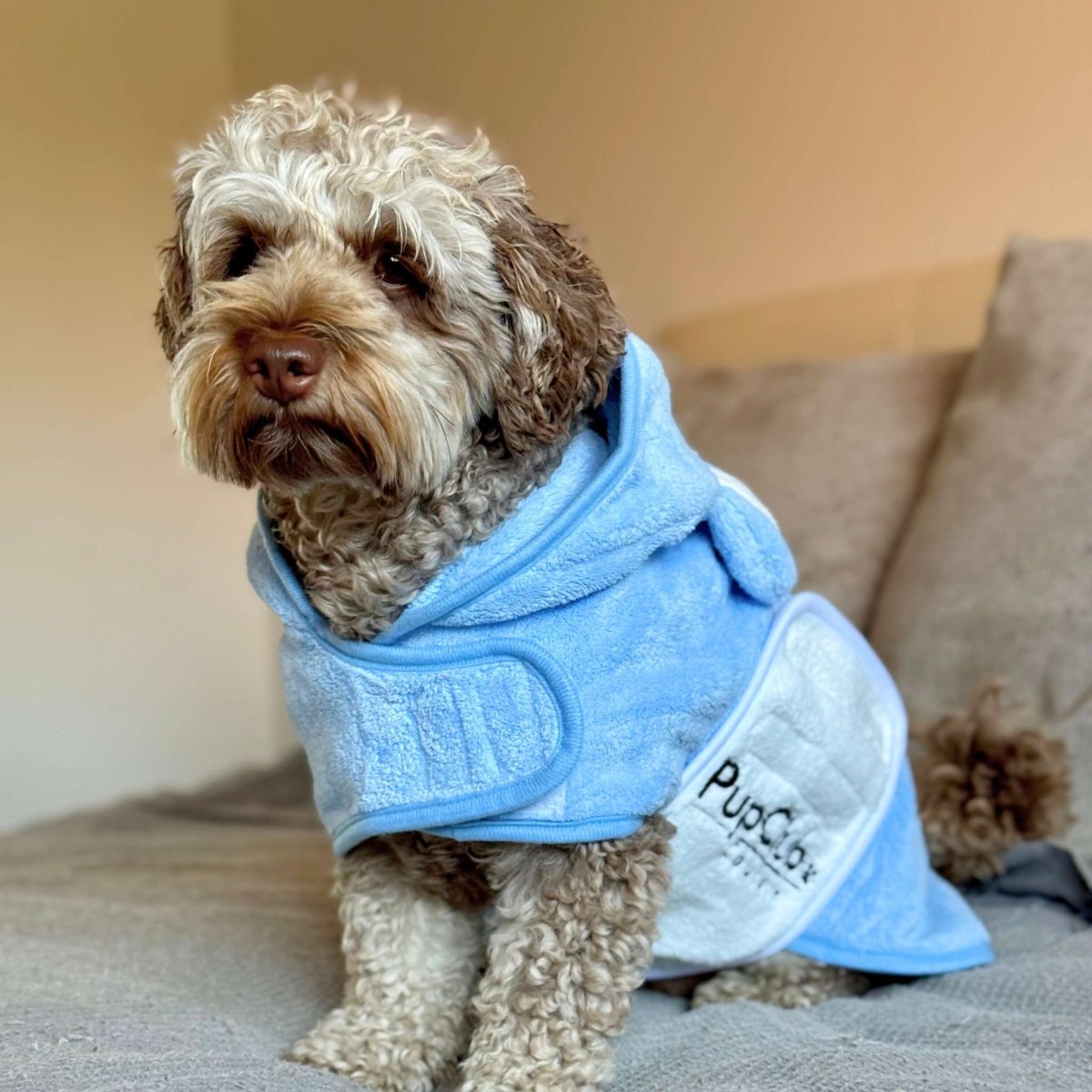 PupClub Couture Drying Robe - Blue
