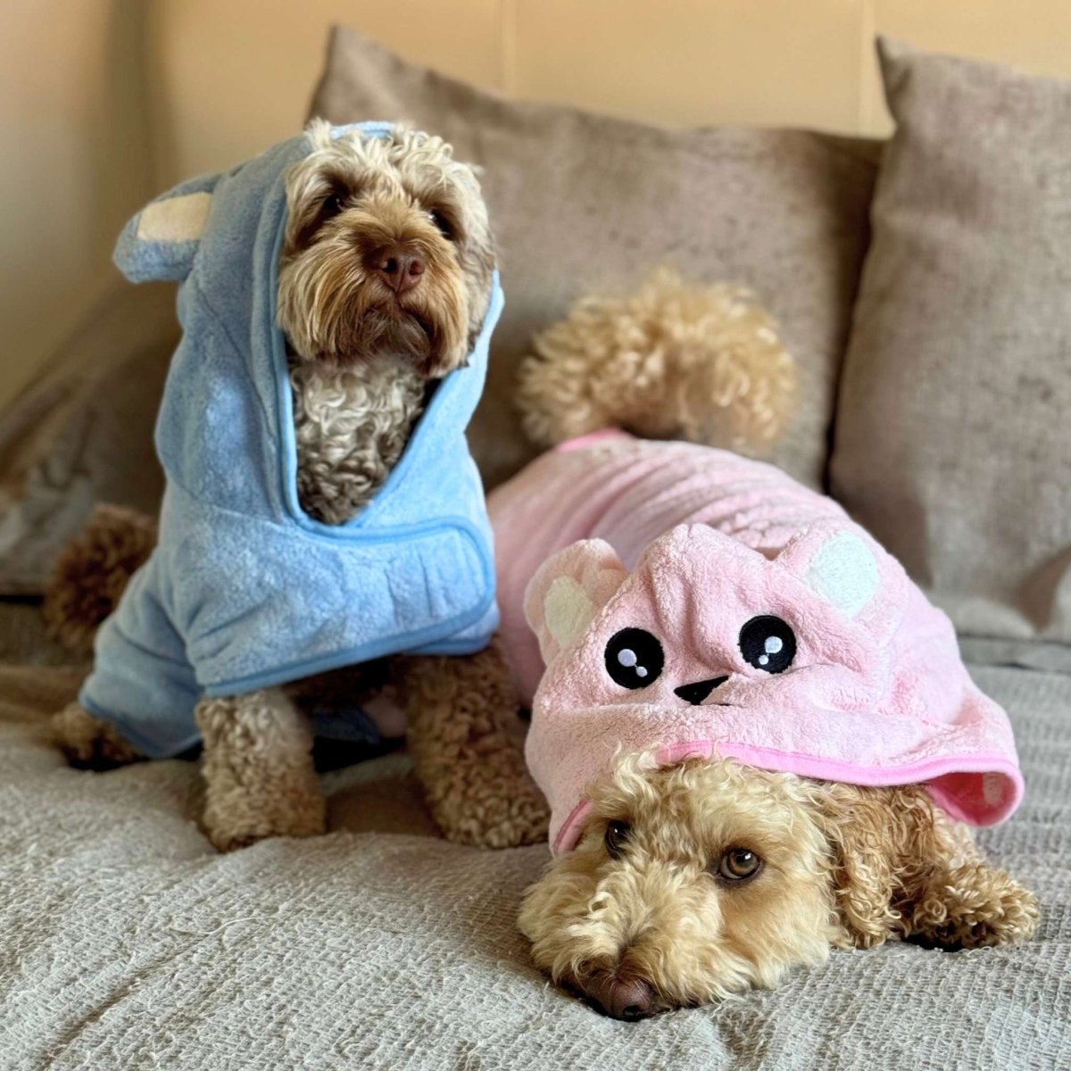 PupClub Couture Drying Robe - Blue