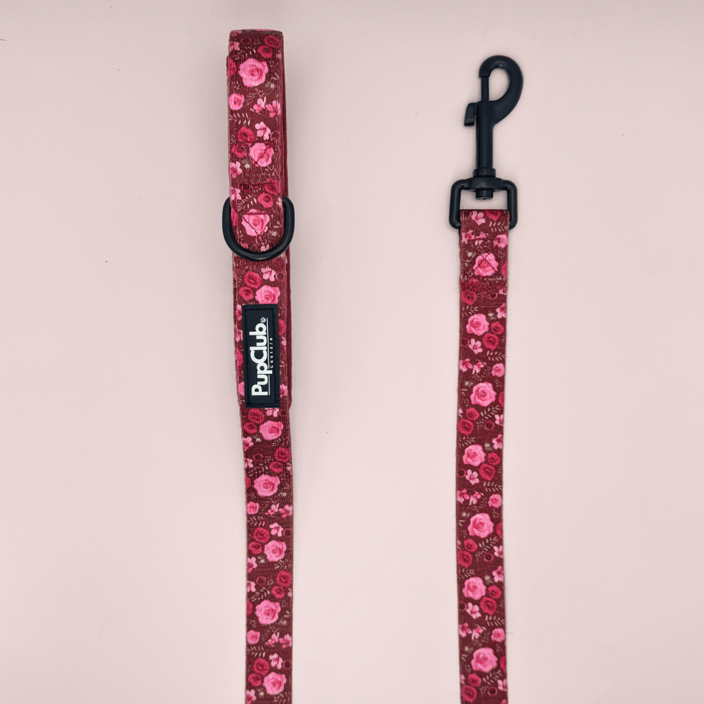 PupClub Couture Dog Lead - Burgundy Bloom