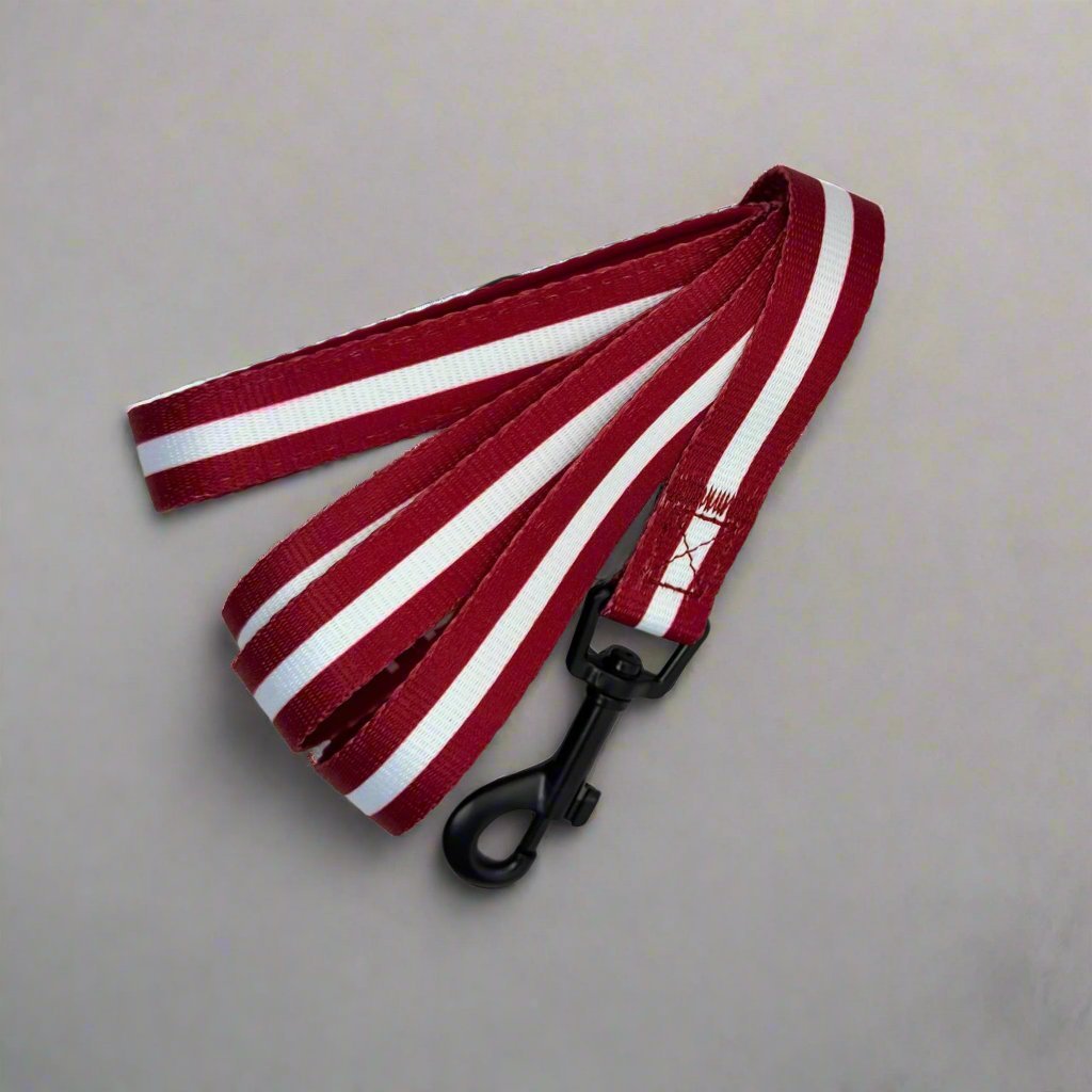 PupClub Couture Dog Lead - Berry red
