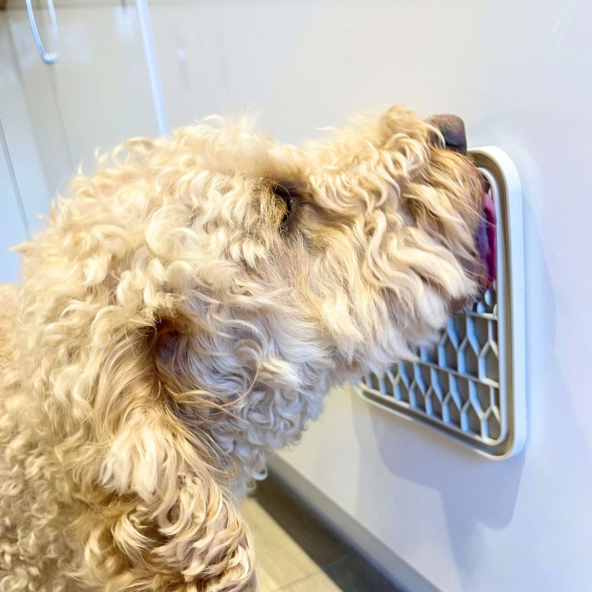 PupClub Couture Dog Lick Mat - Cream
