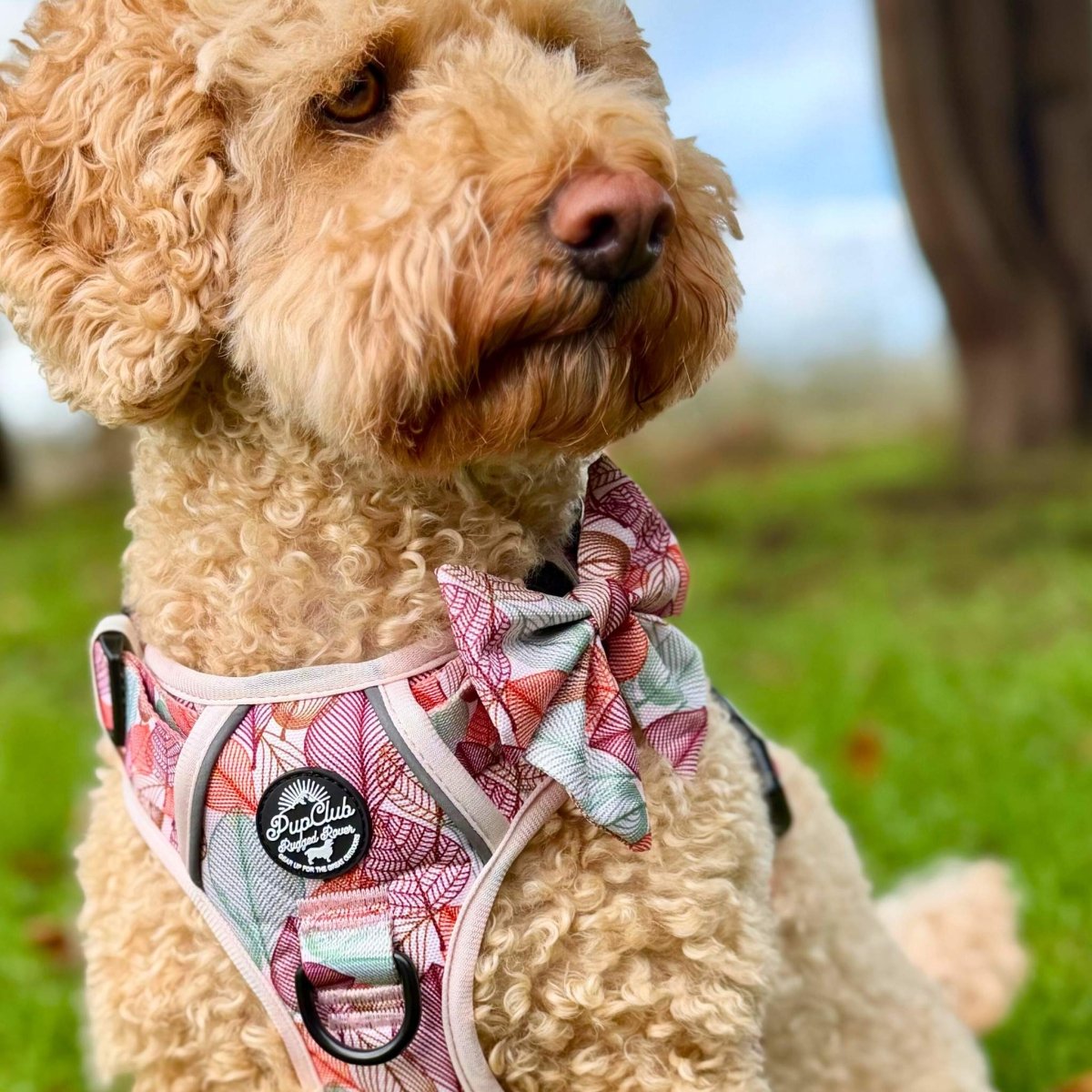 PupClub Couture Dog Sailor Bow - Autumn Breeze
