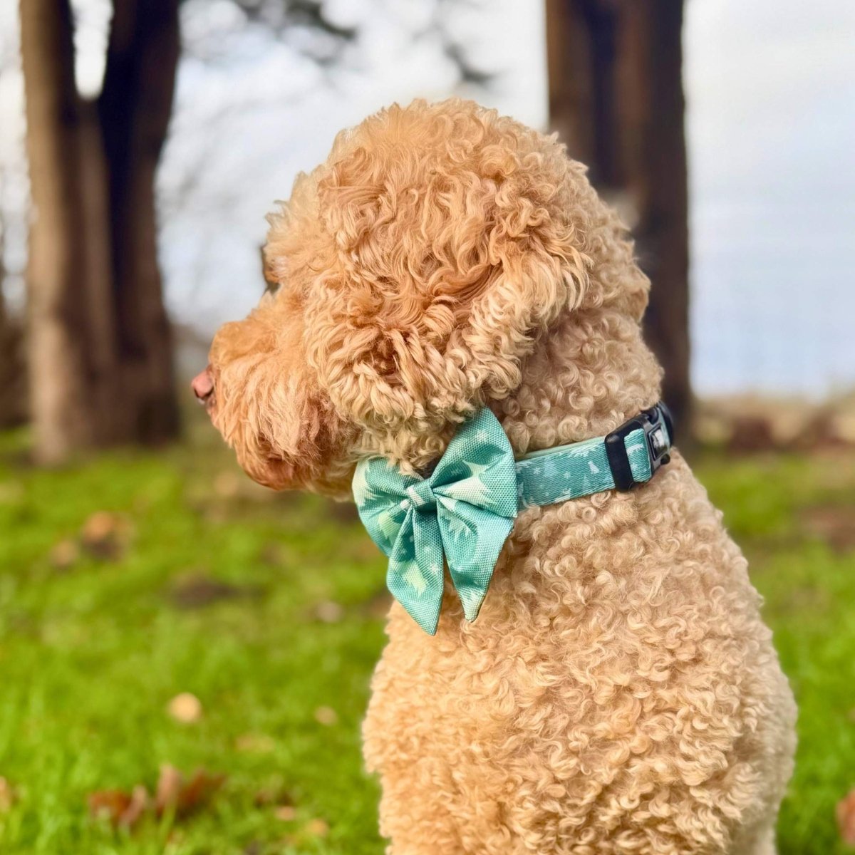 PupClub Couture Dog Sailor Bow - Evergreen Trails