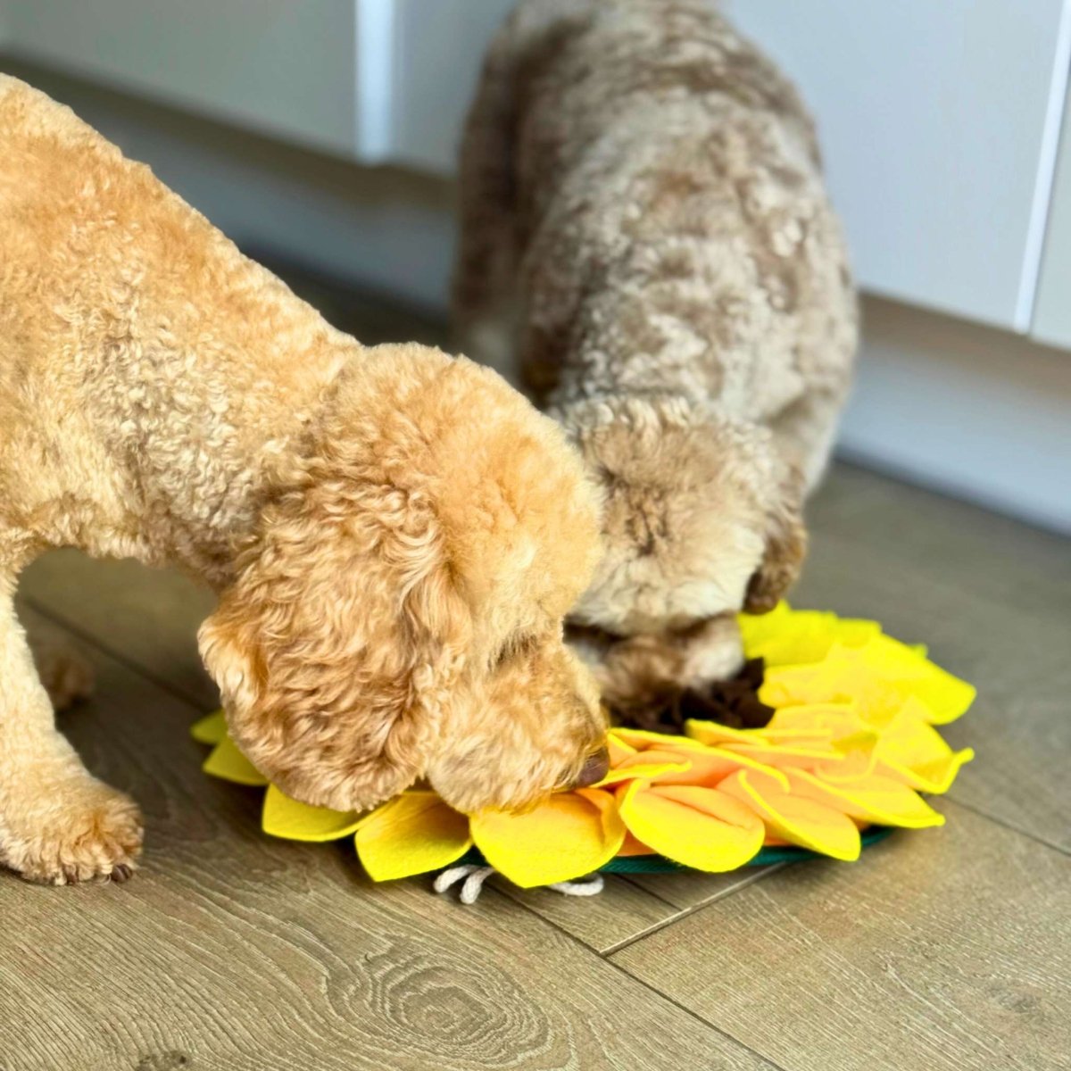 PupClub Couture Snuffle Mat - Sunflower