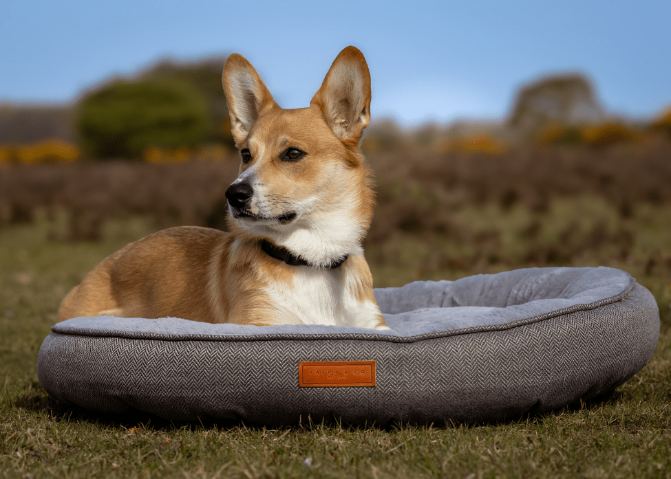 Ralph & Co The Balmoral Herringbone Calming Donut Dog Bed - Grey