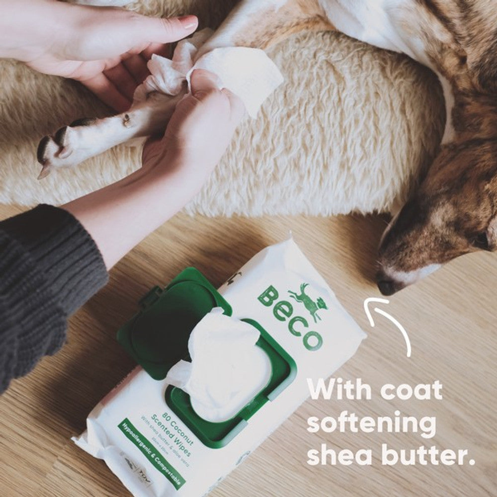 Beco Bamboo Dog Wipes Coconut - 80 Wipes Dog Supplies Beco