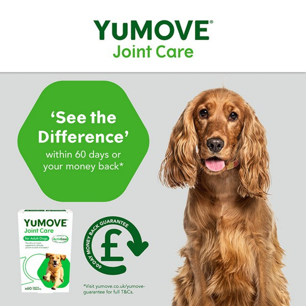 YuMOVE Joint Care for Adult Dogs - 60 pack Dog Supplies YuMOVE