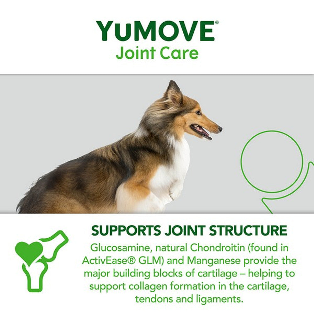 YuMOVE Joint Care for Adult Dogs - 60 pack Dog Supplies YuMOVE