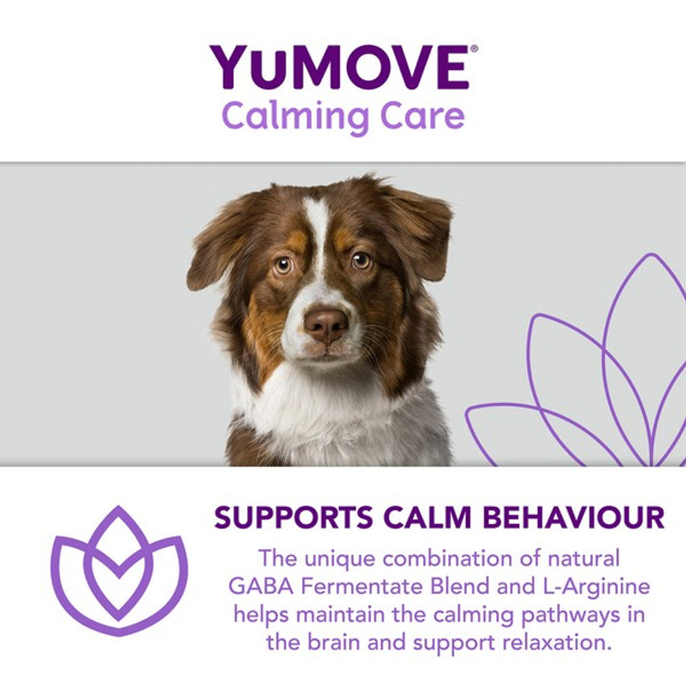 YuMOVE Calming Care for Adult Dogs - 60 pack Dog Supplies YuMOVE