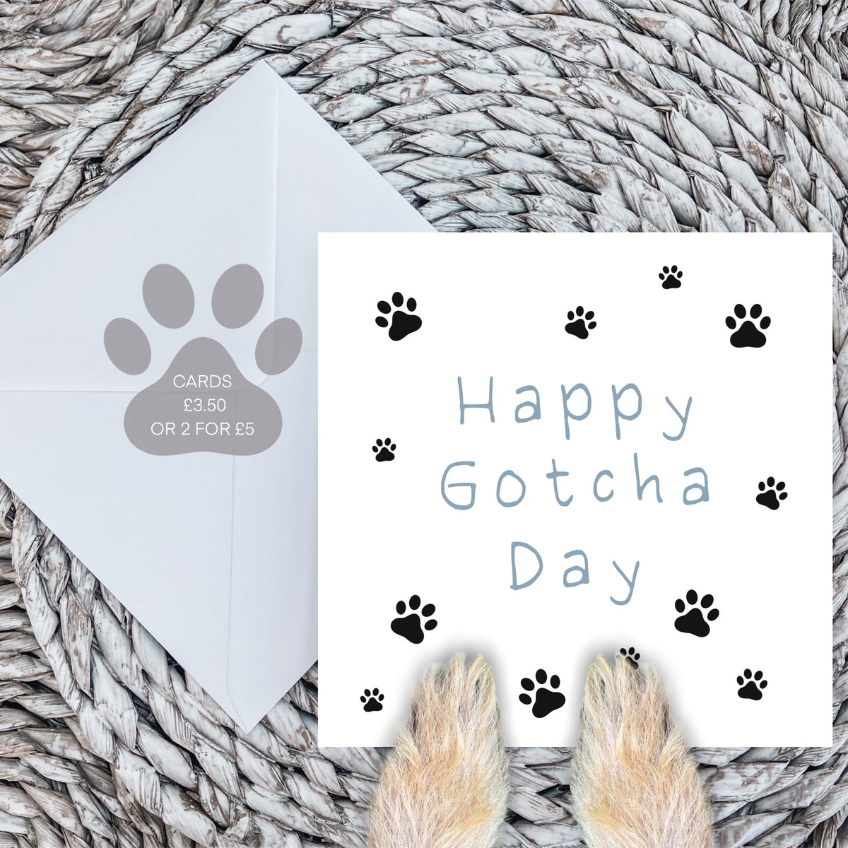 Paws Right There Happy gotcha day card in blue