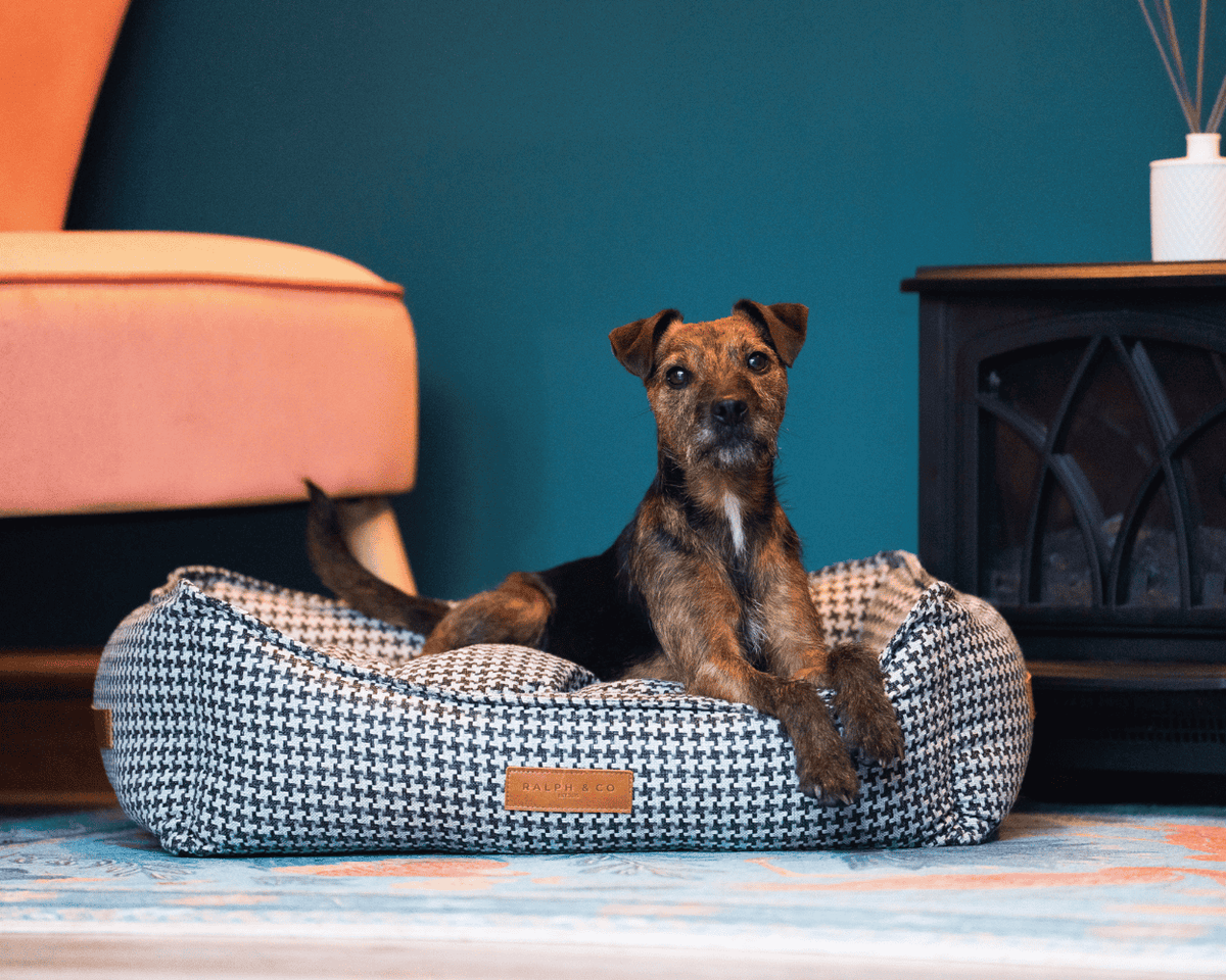 Ralph & Co The Kensington Houndstooth Bolster Dog Bed