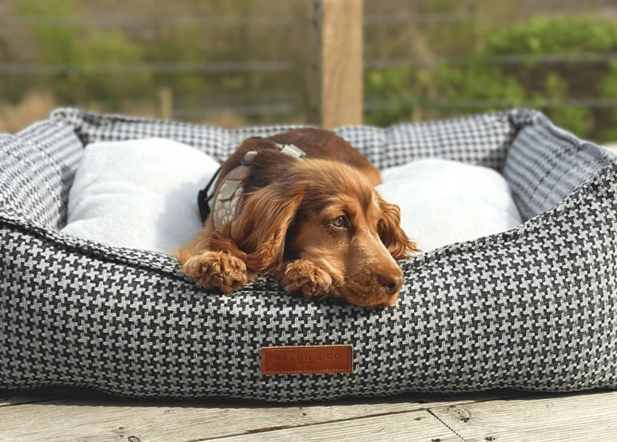 Ralph & Co The Kensington Houndstooth Bolster Dog Bed