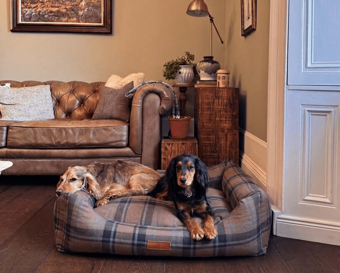 Ralph & Co The Marlow Memory Foam Bolster Dog Bed - Tartan