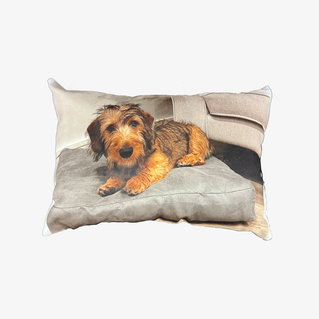 Custom Dog Photo Cushion - Rectangle Shaped Cushions Prodigi
