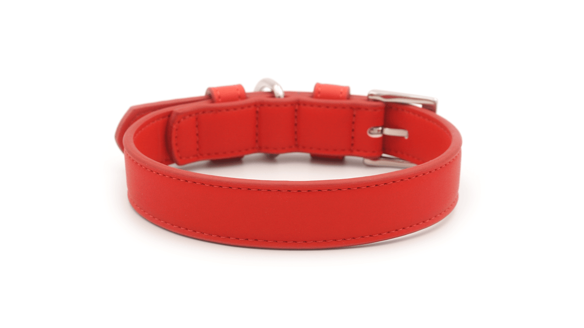 Ralph & Co Lignify Dog Collar Red