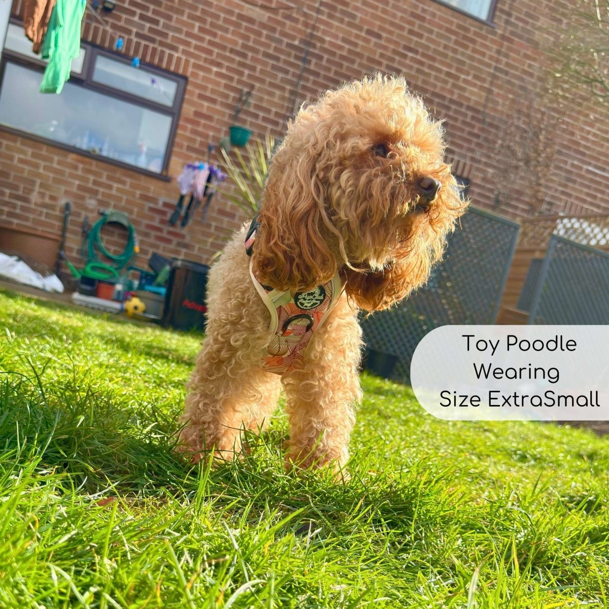 PupClub Couture Rugged Rover Dog Harness - Autumn Breeze