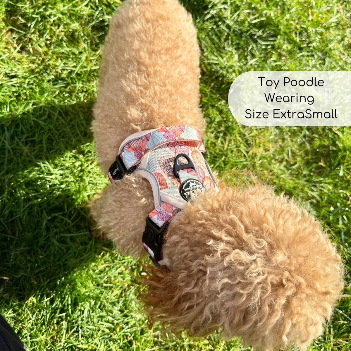 PupClub Couture Rugged Rover Dog Harness - Autumn Breeze