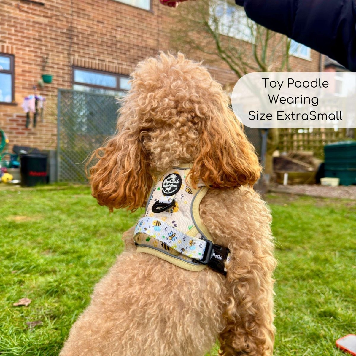 PupClub Couture Rugged Rover Bee-utiful Summer Dog Harness