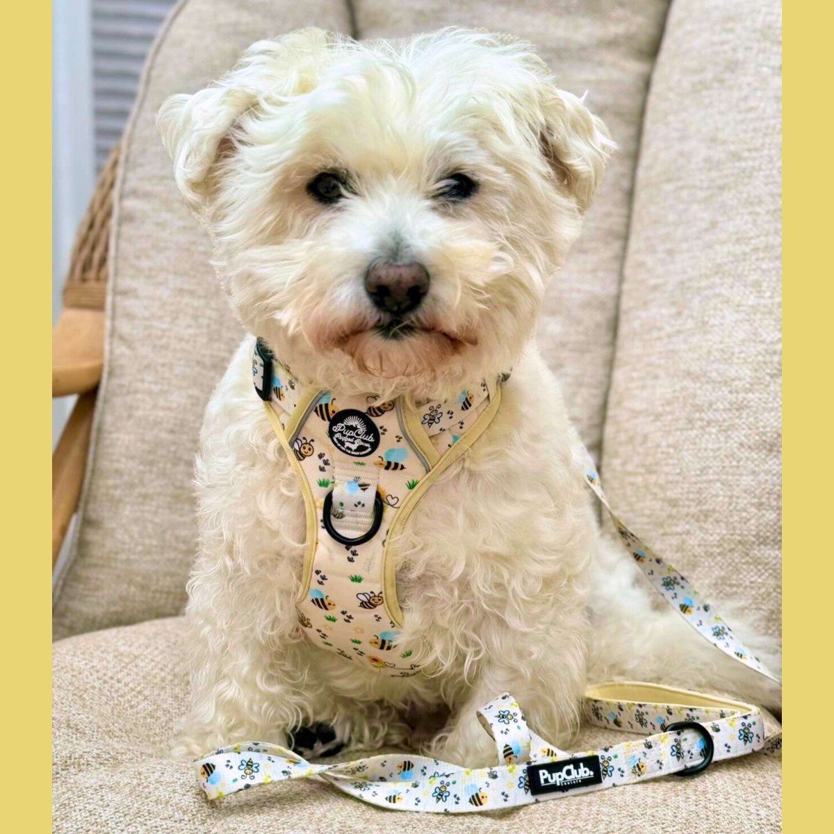 PupClub Couture Rugged Rover Bee-utiful Summer Dog Harness