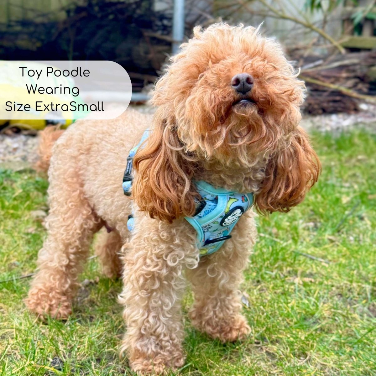 PupClub Couture Rugged Rover Harness - Jurassic Party