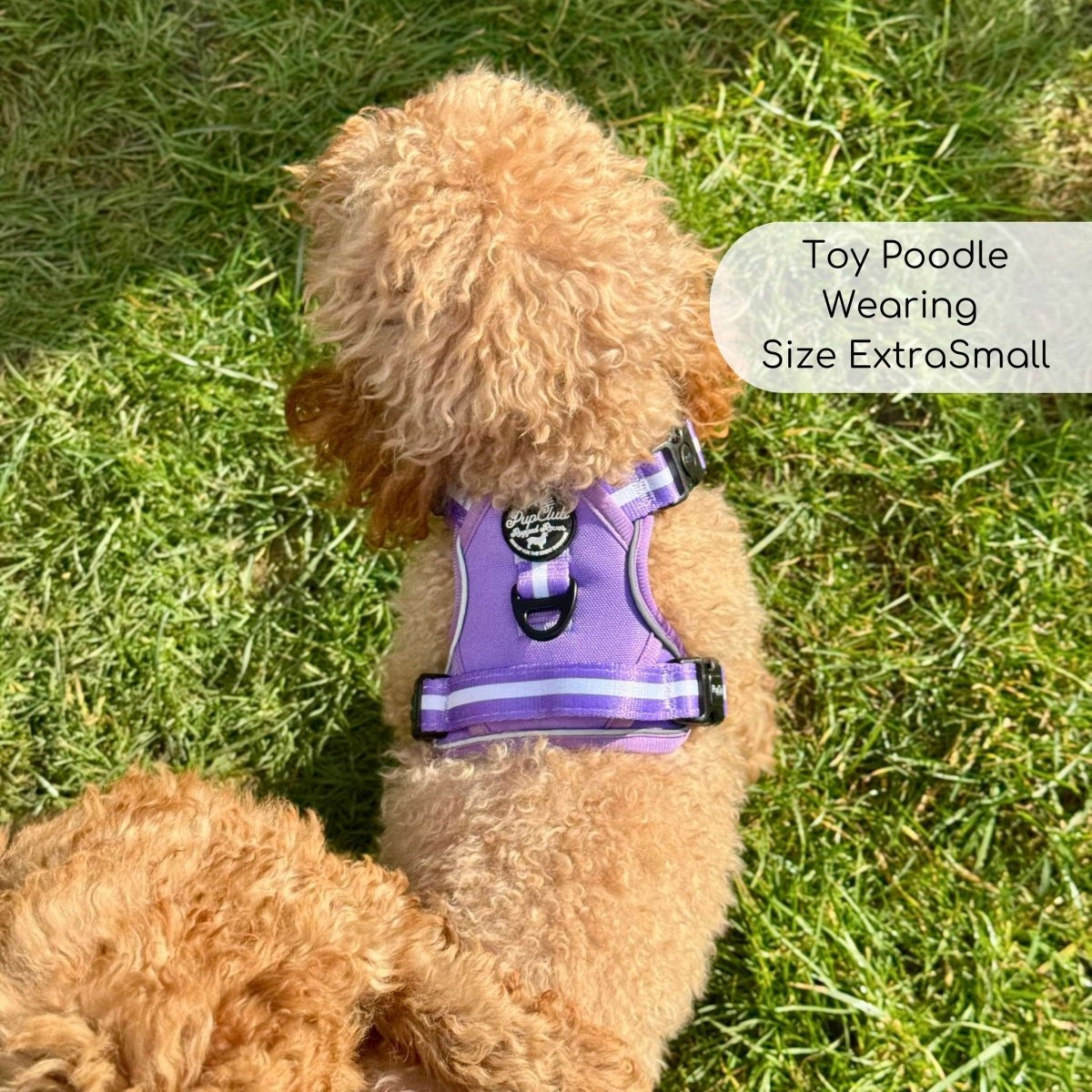 PupClub Couture Rugged Rover Harness - Lilac Blush
